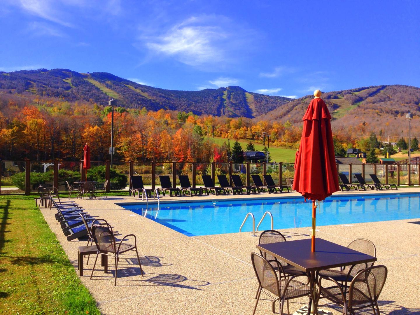 Foliage View from the Hotel Outdoor Heated Pool