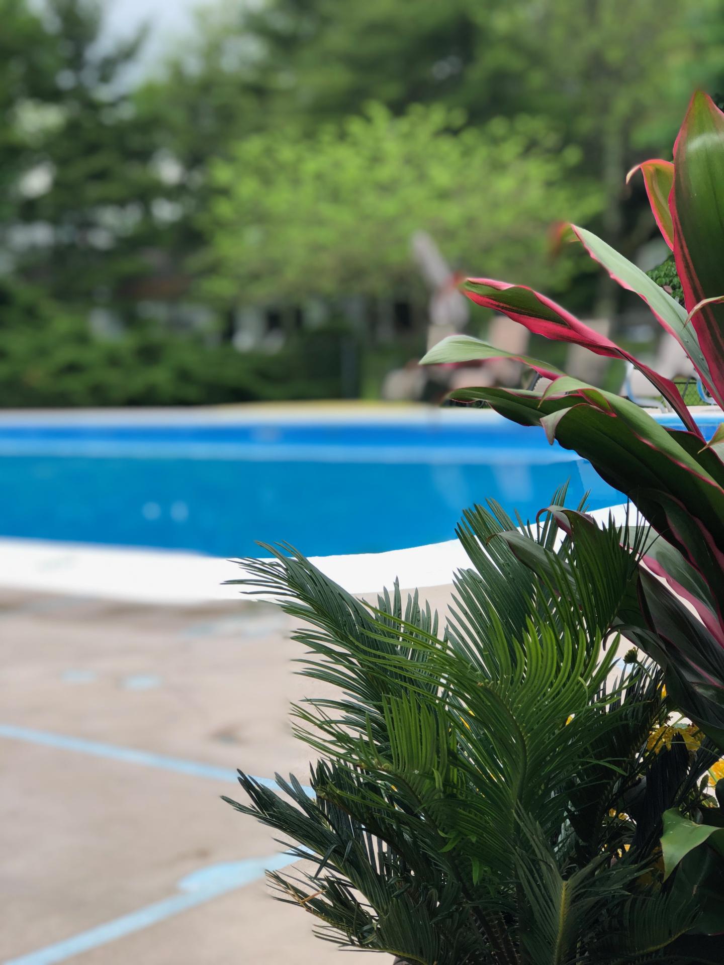 Interlaken Inn- Pool 