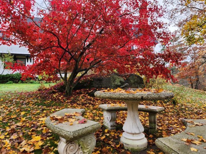New England Lead-Peeping at the Manor House Inn Norfolk