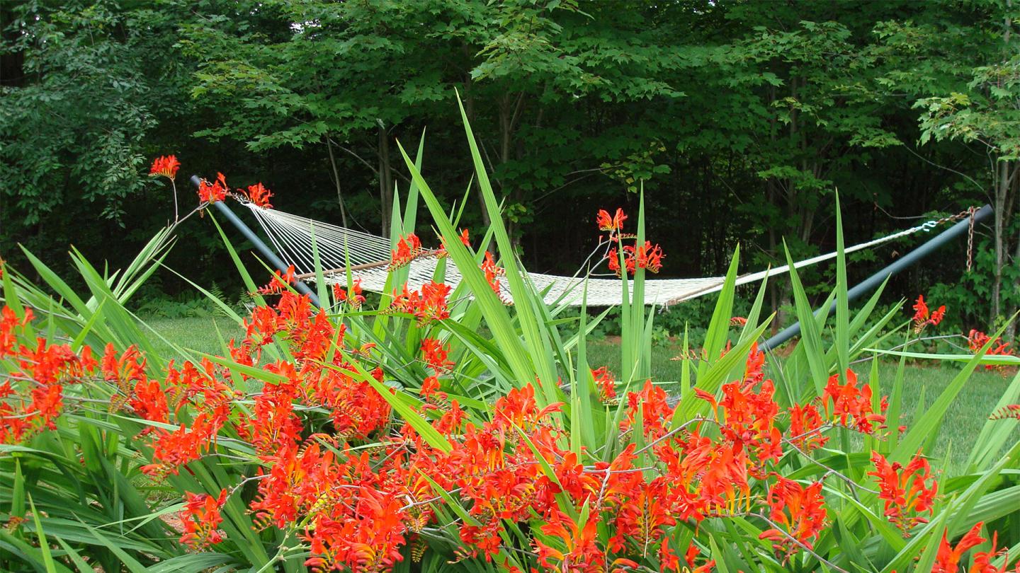 Summer in Stowe - relaxing gardens