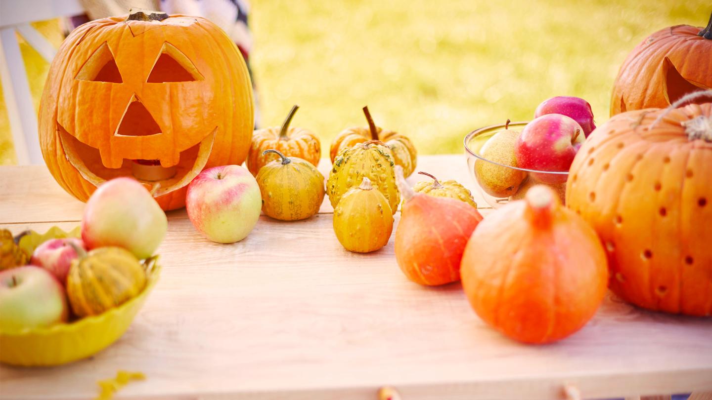 Picking apples and pumpkins in the fall season