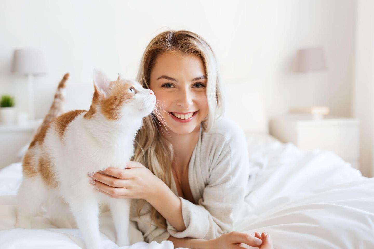 vermont-pet-friendly-lodging-sun-ski-inn