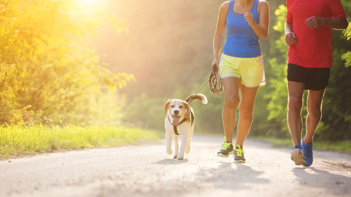 vermont-pet-friendly-lodging-dorset-inn