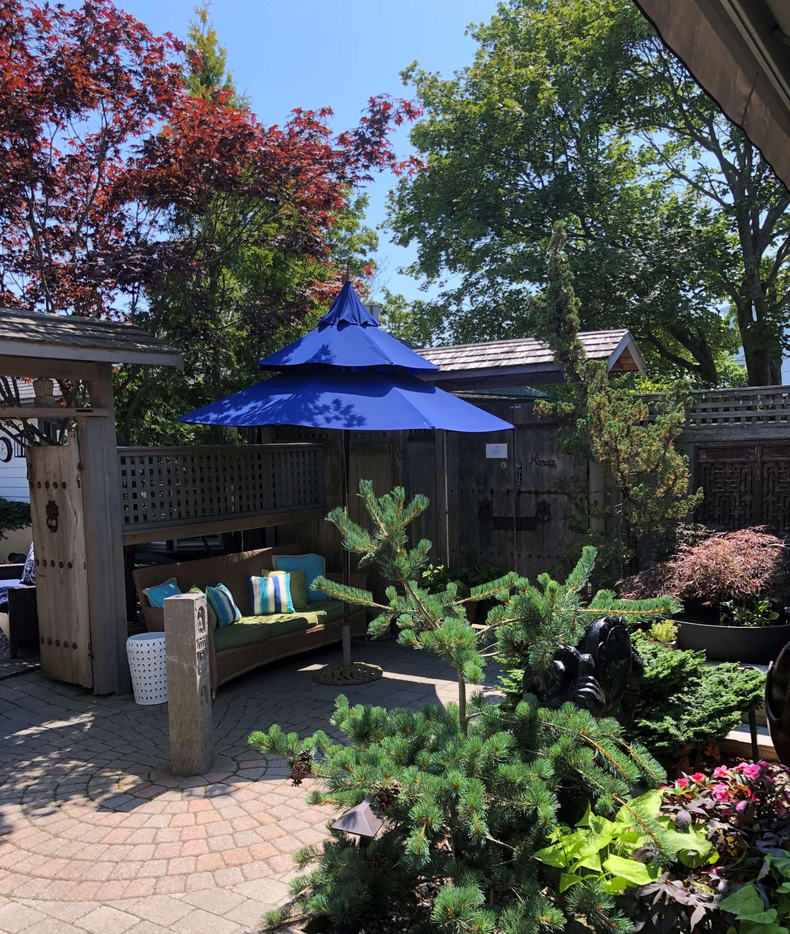 Our Zen Garden at Carpe Diem
