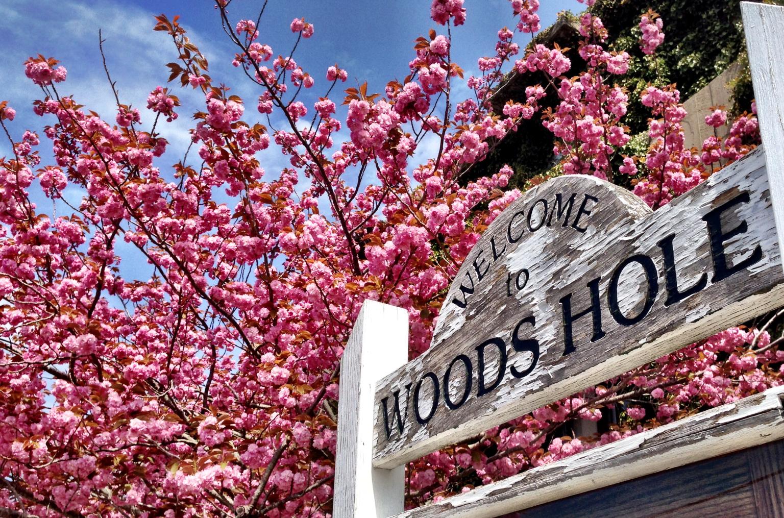 B&B Lodging in Woods Hole, MA Coastal Vacations + Getaways at Woods