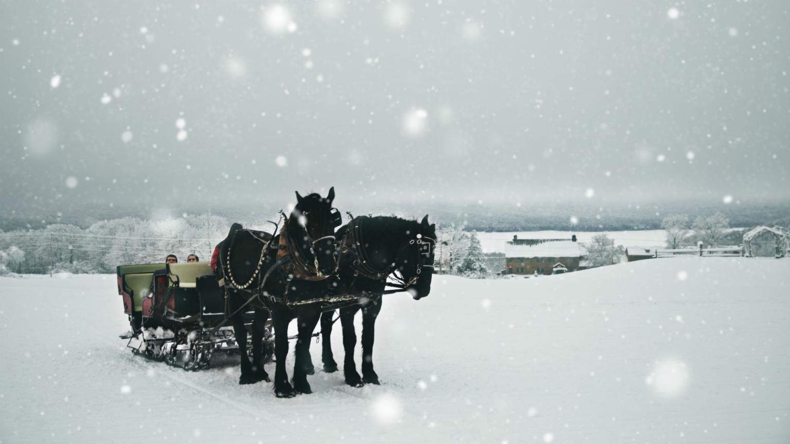 Mountain Top Inn & Resort horse drawn sleigh ride