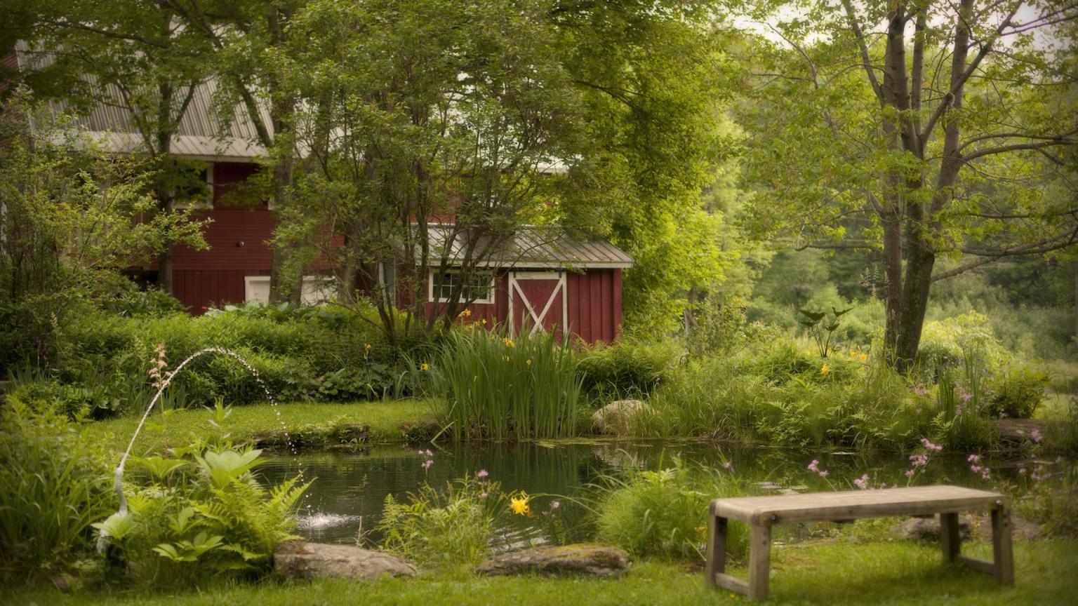Pond and Barn at West Hill House B&B