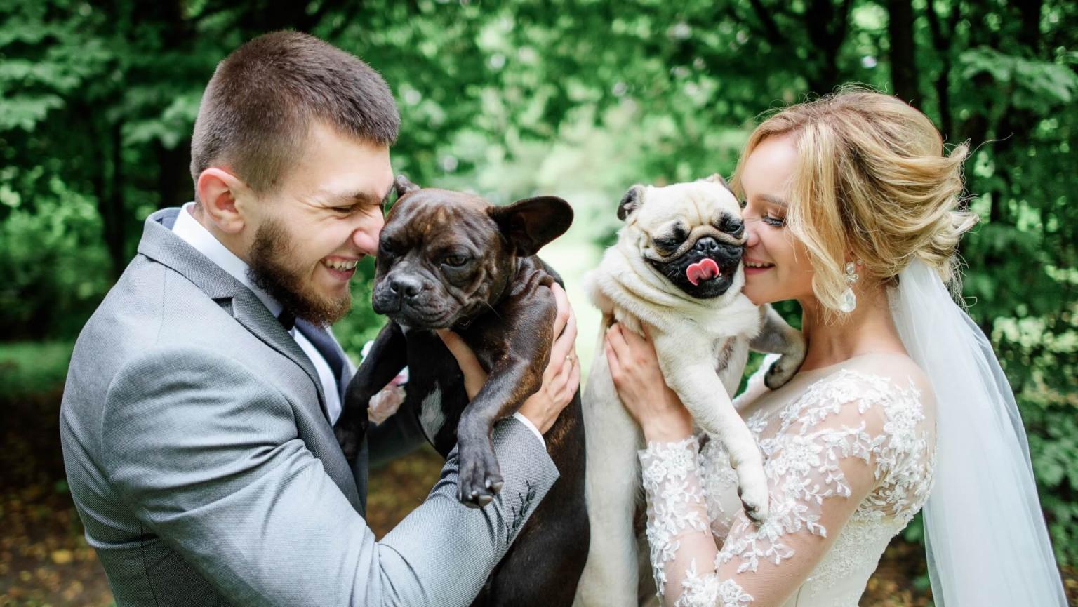 pet friendly weeding Beechwood Hotel