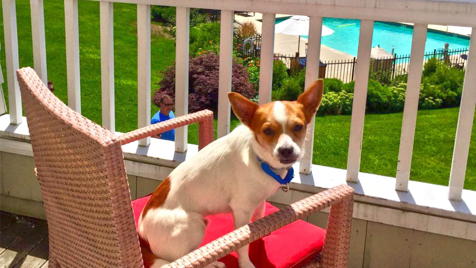 Inn by the Sea Pet Friendly Hotel in Cape Elizabeth, Maine