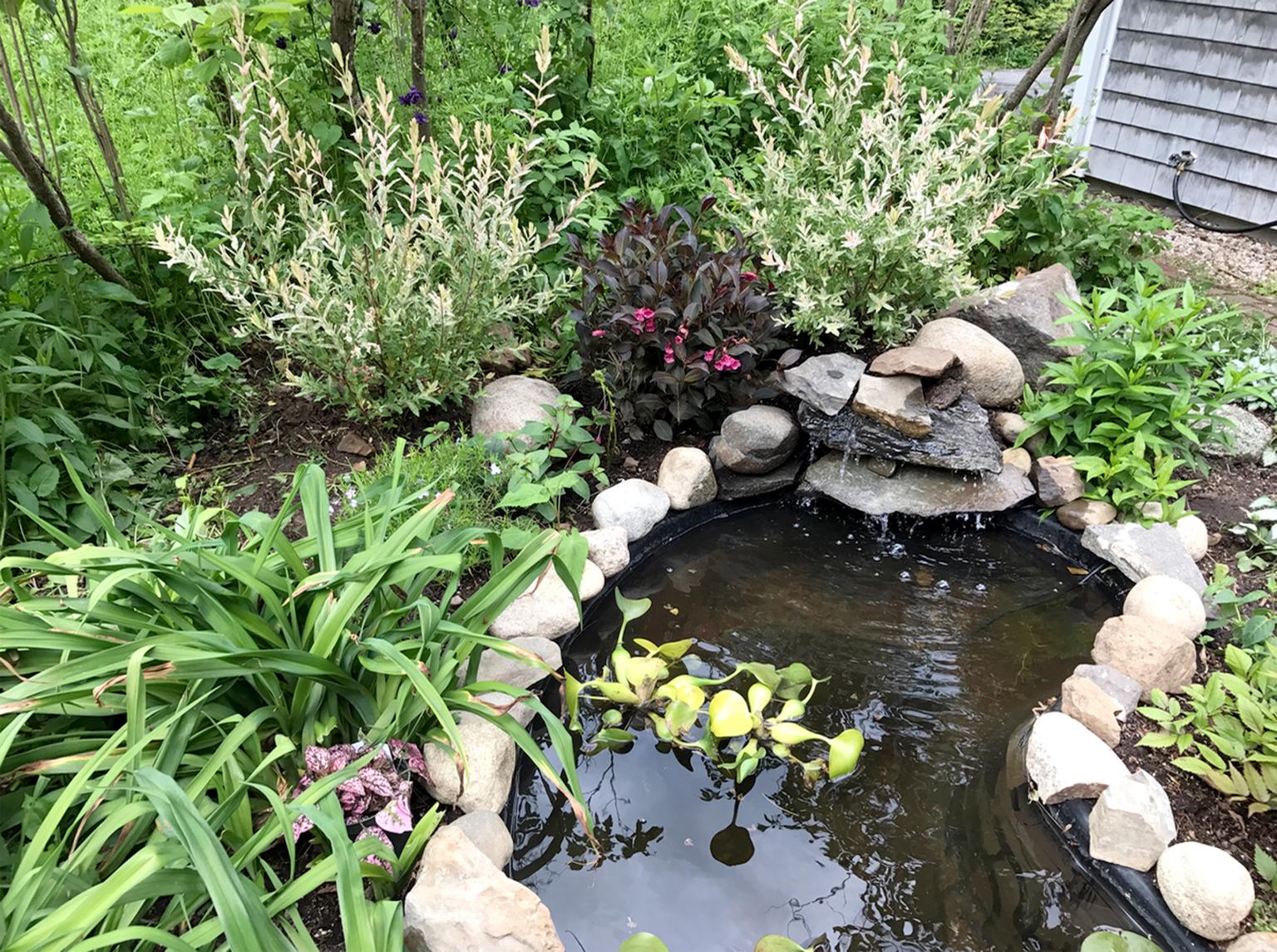 the breakast courtyard includes a charming water garden