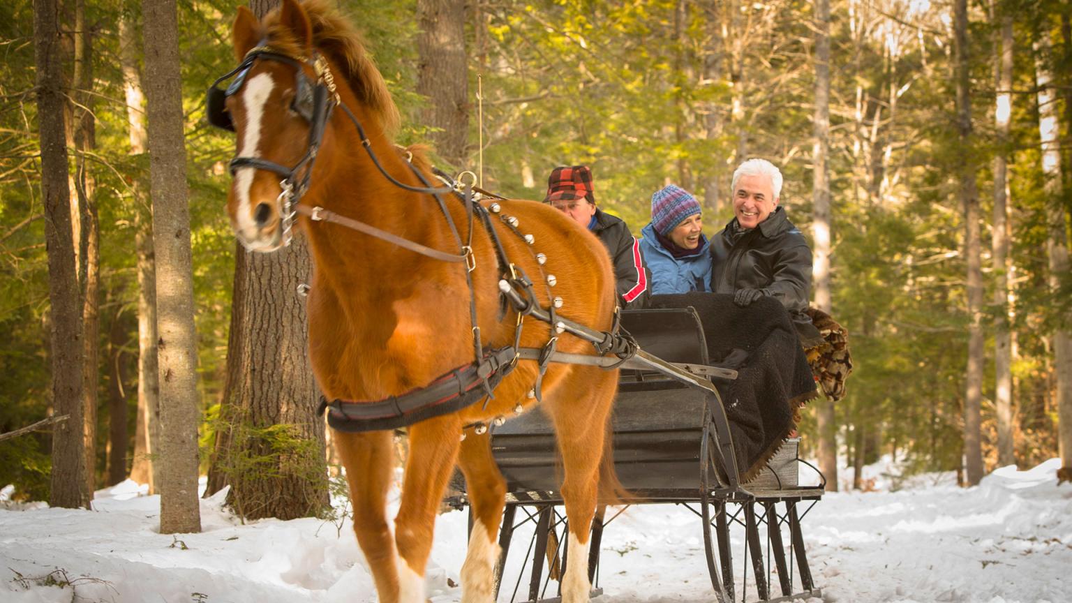 New England Thanksgiving Sleigh Ride