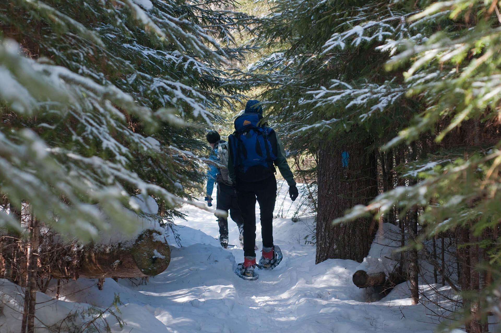 Snowshoeing Adventure New England