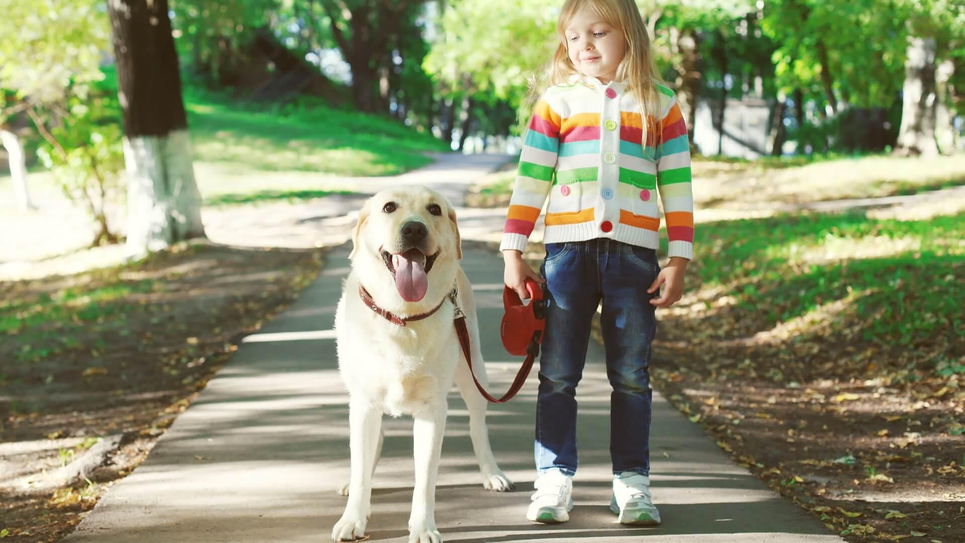 Pet and Dog Friendly Vacations in New Hampshire New