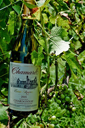 Chamard Vineyard and winery in Connecticut.
