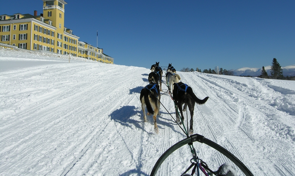 mtnviewdogsled