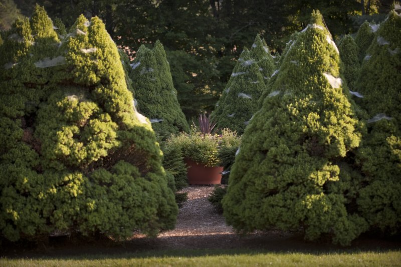 intimate Walking maze | Jackson House Inn 