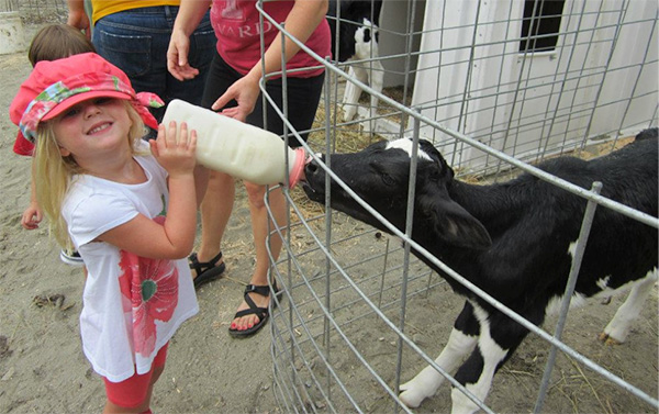 Stay at a New England Bed and Breakfast on a Working Farm