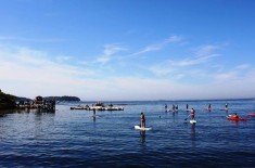 5 Best Maine Beaches