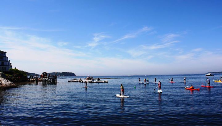 Paddleboarders on Maine Beaches