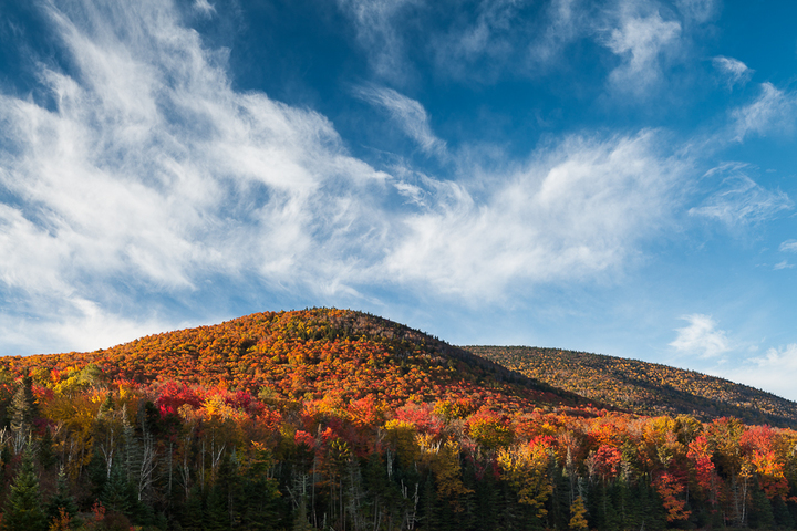 Fall Foliage When & Where to Go