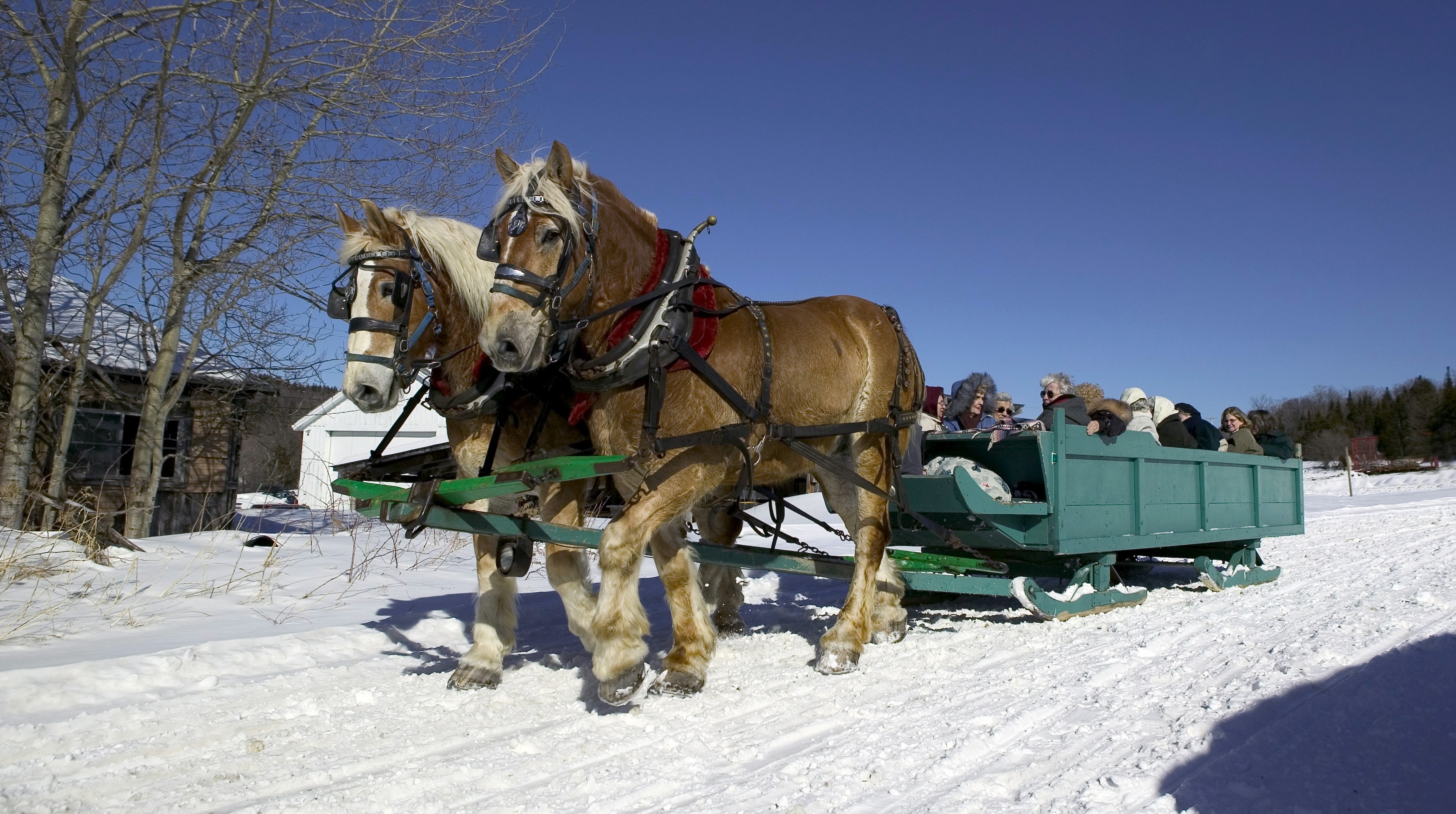 Sleigh rides Vermont family trip