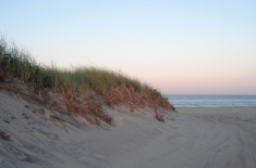  Alleine reisen in Neuengland - Cape Cod