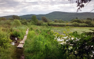 Bike Trails in Windsor, VT