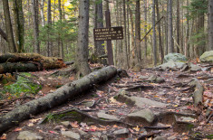 Family hikes in New Hampshire - Mount Monadnock