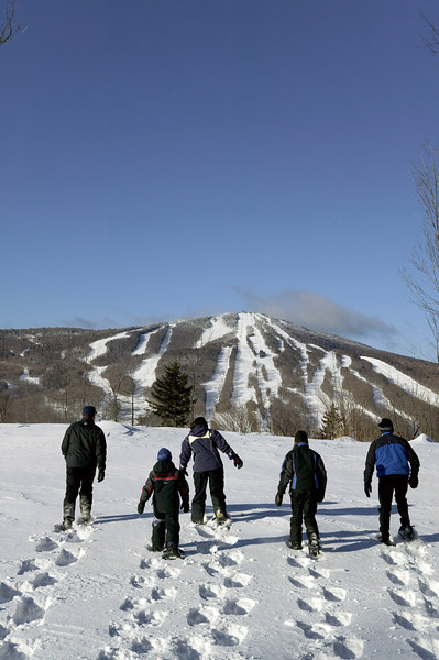 Skiing - Stratton, VT