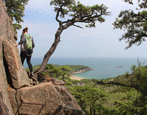 Beehive Trail Acadia National Park