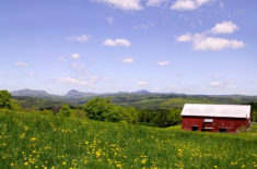 Vintage barn in Vermont