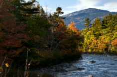 Leaf Peeper Packages