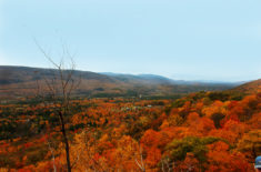 fall foliage in Vermont