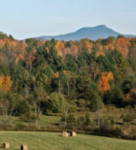 Camels Hump State Park
