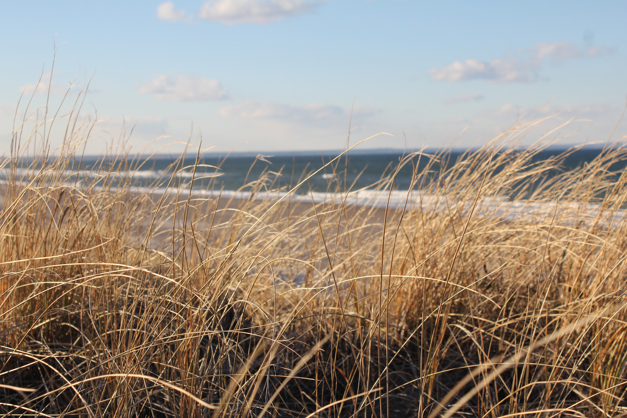 Sandy Neck Beach in Sandwich, Mass.