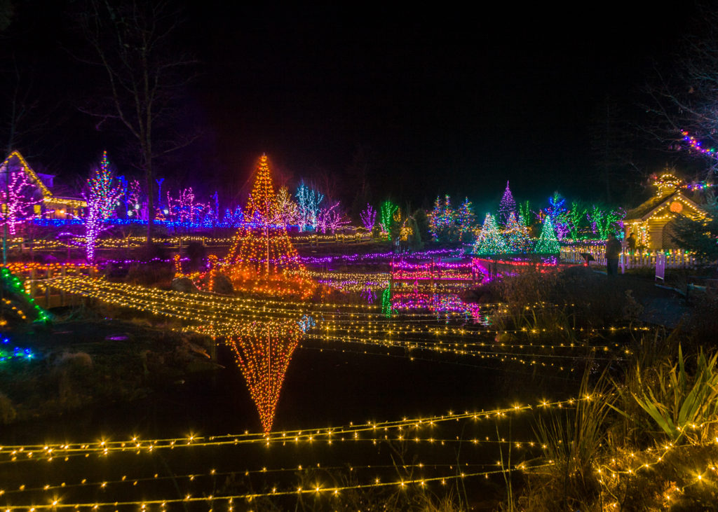 “Gardens Aglow” at Coastal Maine Botanical Gardens