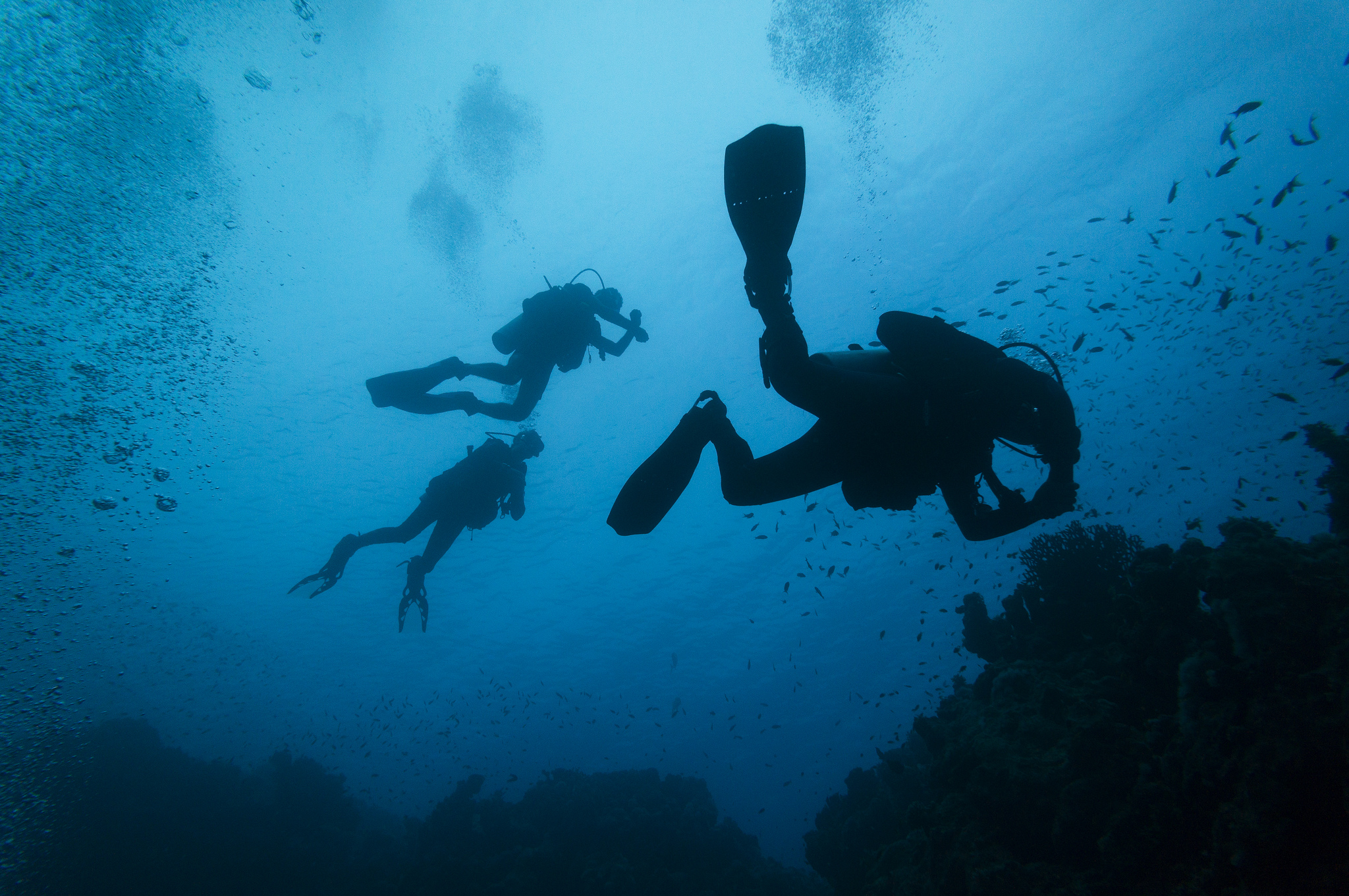 Scuba diving is one of the many thrilling water sports to try in New England.