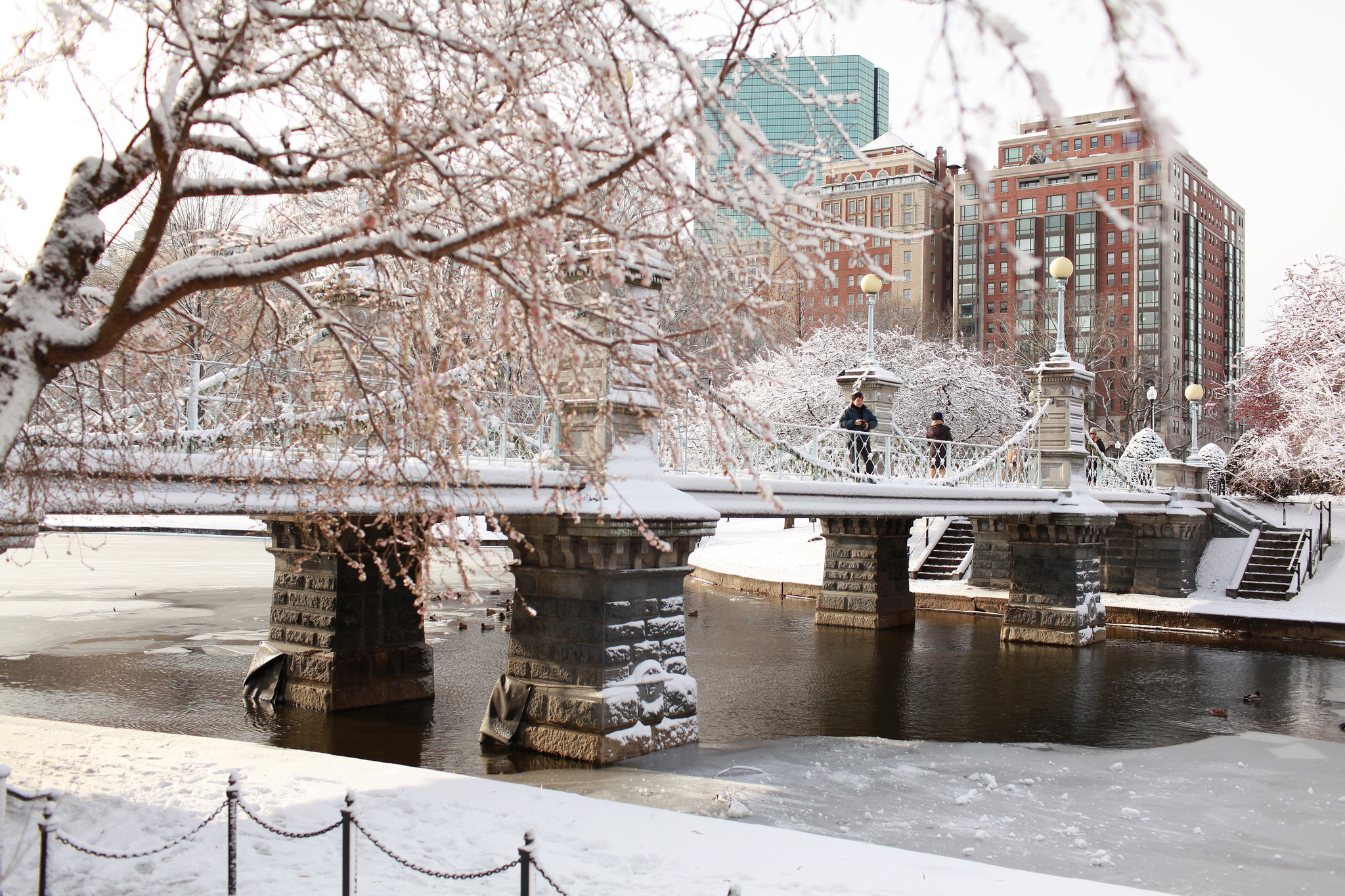 Boston Public Gardens