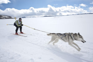 Skijoring New England Winter Activity Ideas