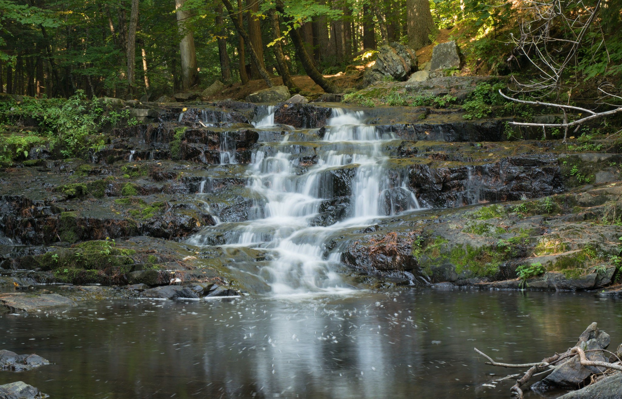 Vaughan Woods, a Maine attraction that few