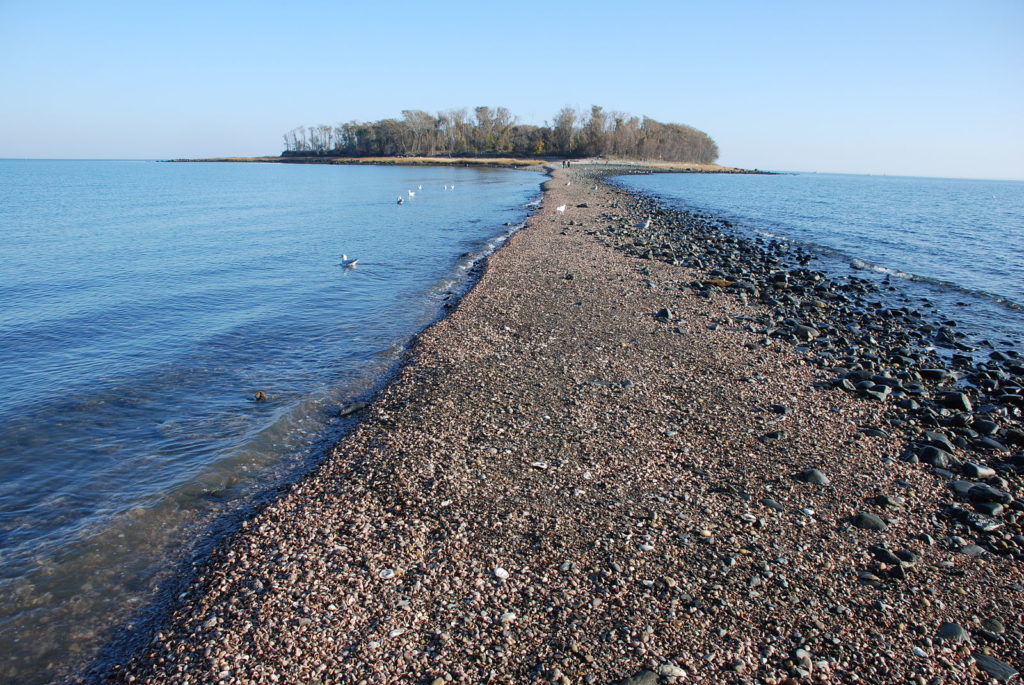 Charles Island in Milford, CT.