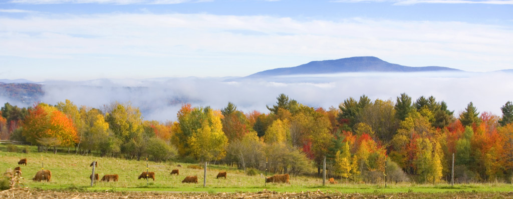 Southern VT