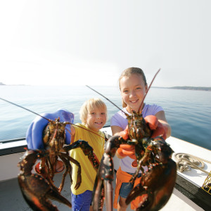 Lobsters in Maine