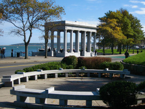 Plymouth Rock 